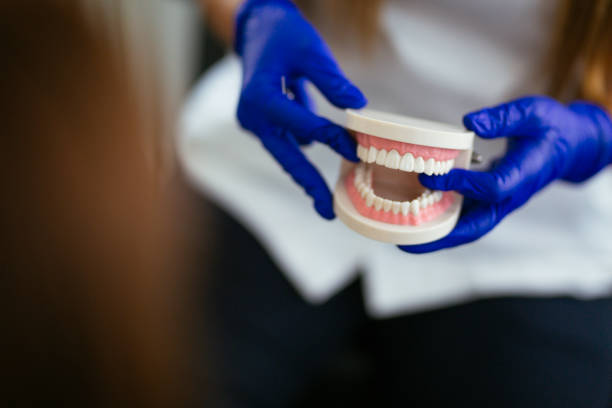 Best Dental Exams and Cleanings  in Elburn, IL