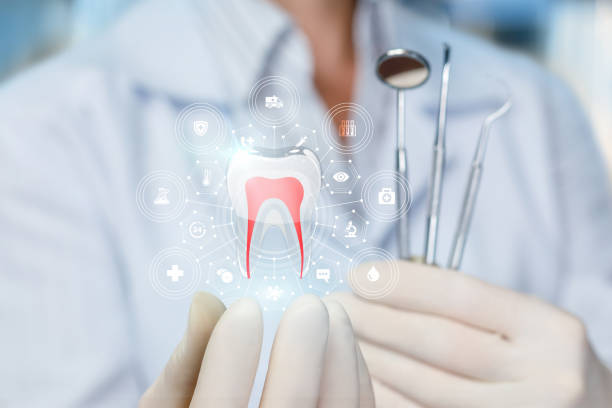 Best Cosmetic Dentistry  in Elburn, IL